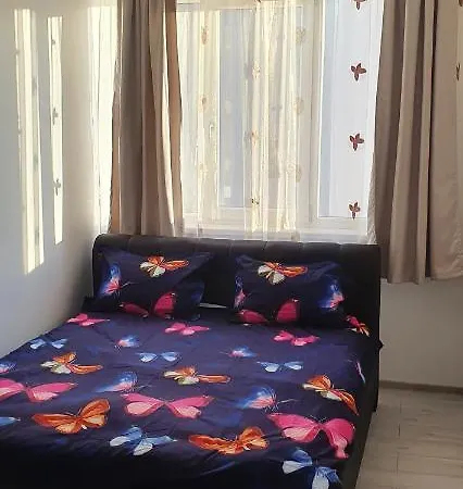 Alina'S Apartament *